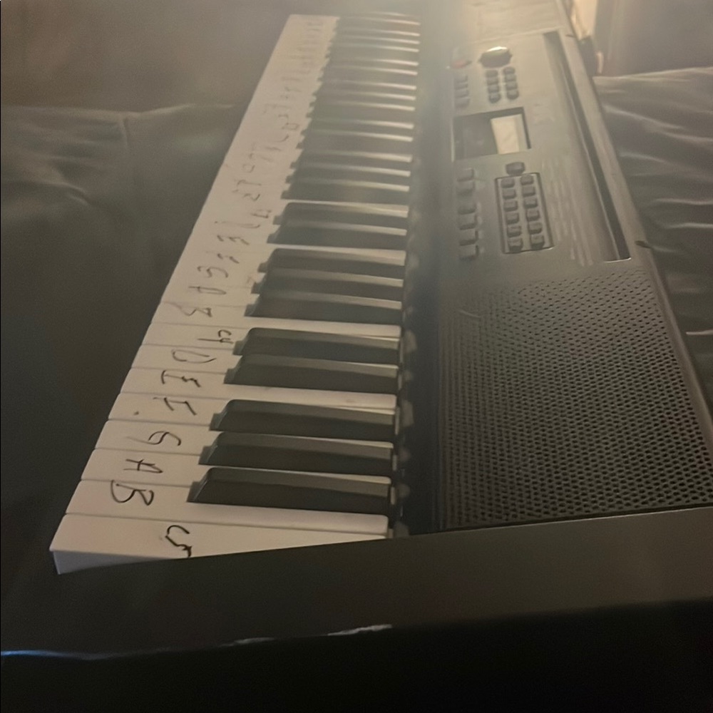 Black and White Electronic Keyboard